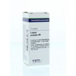 VSM Ledum Palustre D6   10 gram Globuli